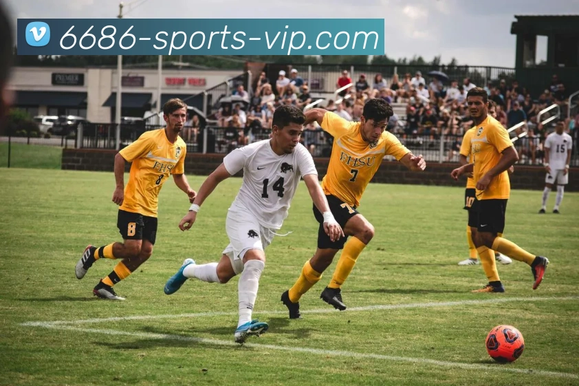 6686体育服务体系